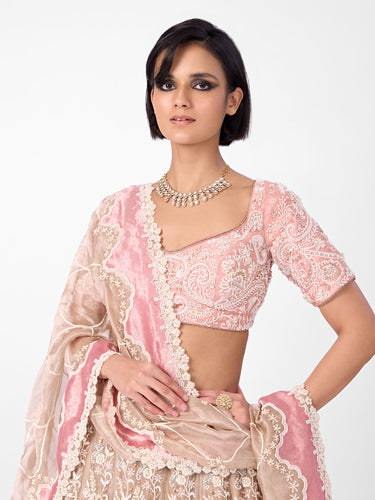 RIDHIMA