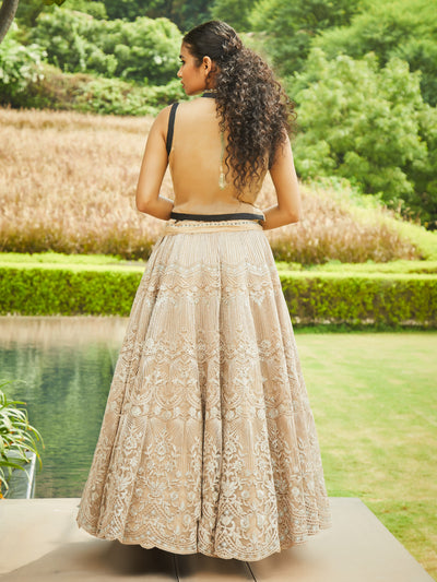 Avni