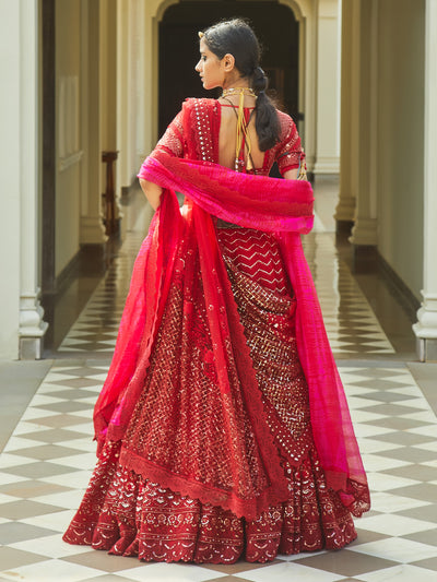 Rabia