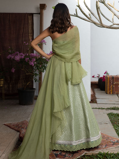 Dhaani